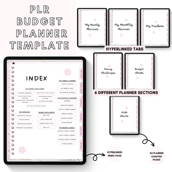 PLR Canva Pink Flowery Digital Budget Planner
